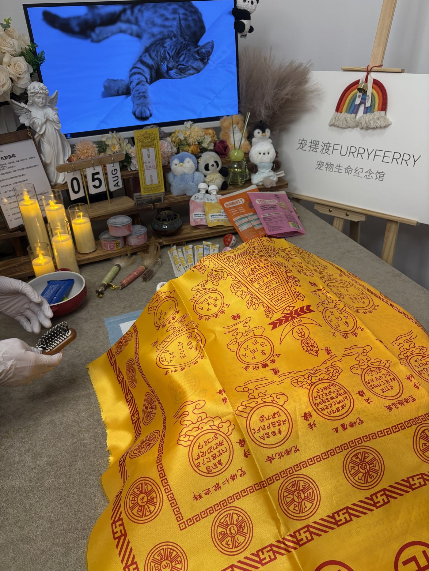 二、收费明细与预算