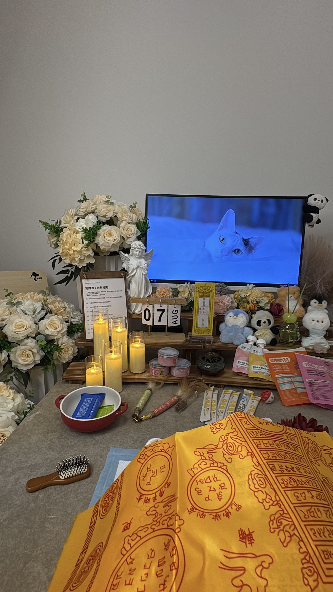 告别厅长什么样