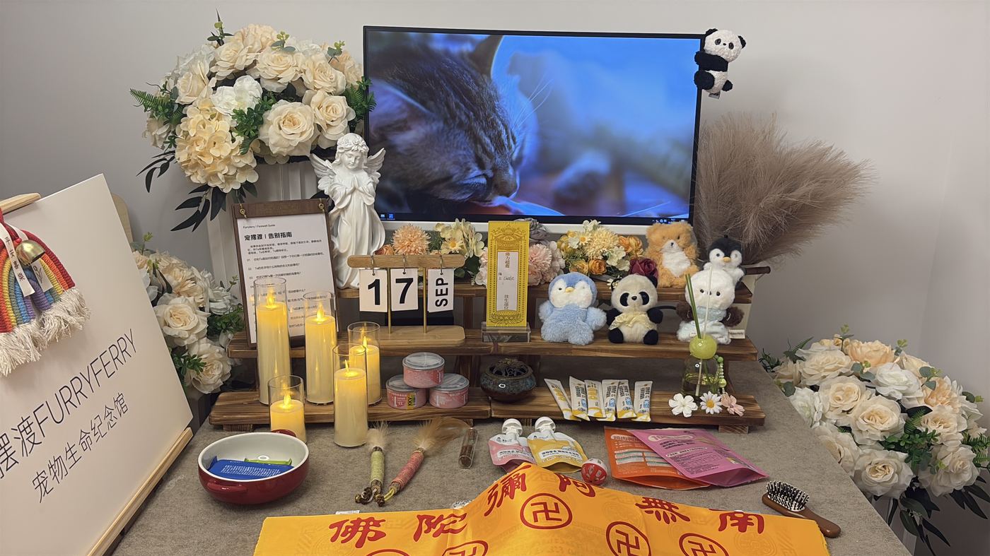 常见的安置途径