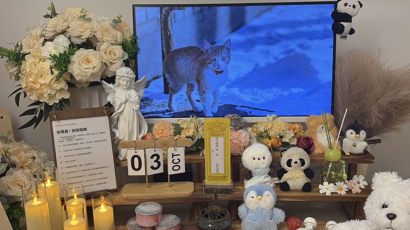猫的告别更加安静
