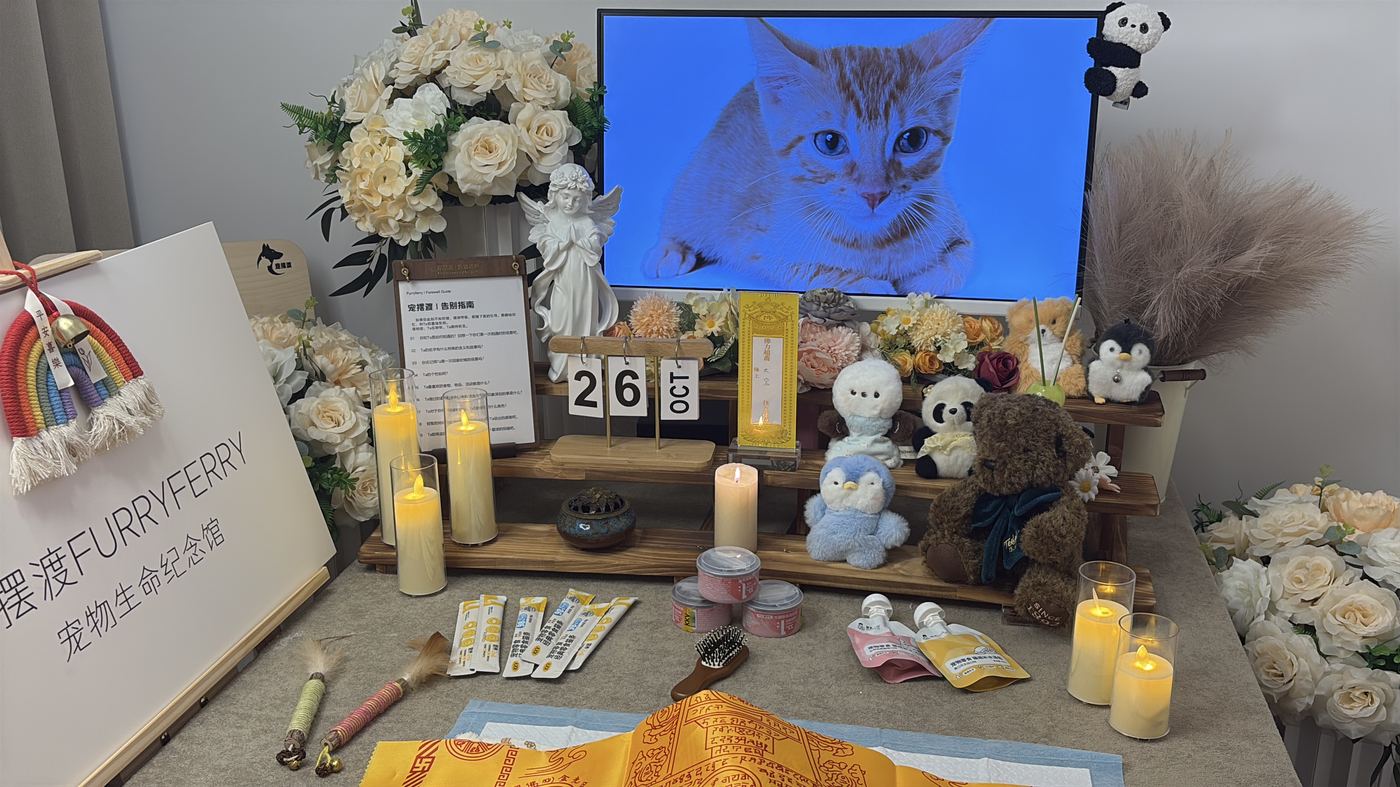 玉林宠物告别厅布置：如何给岭南美玉家属一个体面的告别